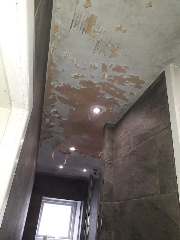 Painting & Decorating project by GT Decoration & Renovation